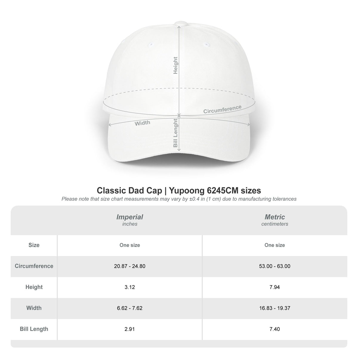 Sarcastic & Honest Hat, Funny Graphic Embroidered Dad Cap, Cute Y2K Aesthetic Unisex Headwear